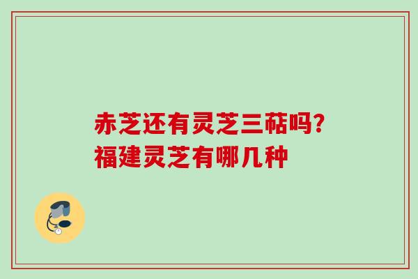 赤芝还有灵芝三萜吗？福建灵芝有哪几种