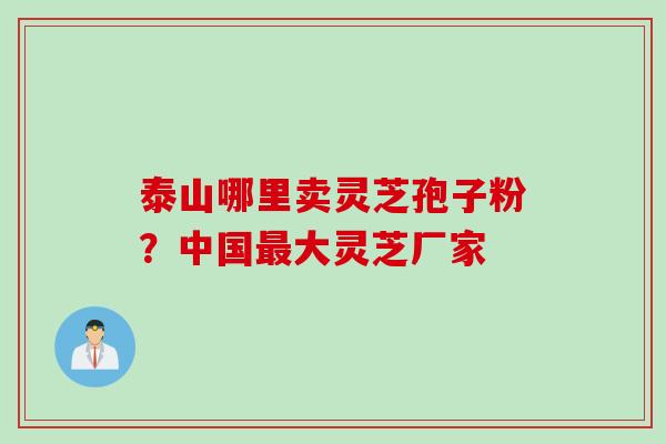 泰山哪里卖灵芝孢子粉？中国最大灵芝厂家