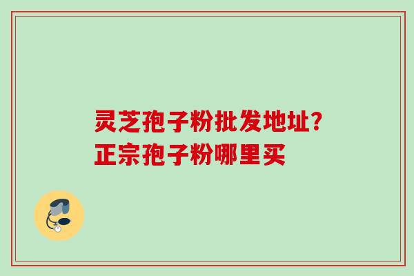 灵芝孢子粉批发地址？正宗孢子粉哪里买