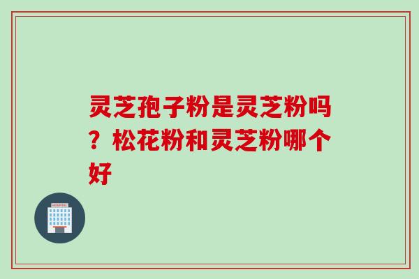 灵芝孢子粉是灵芝粉吗？松花粉和灵芝粉哪个好