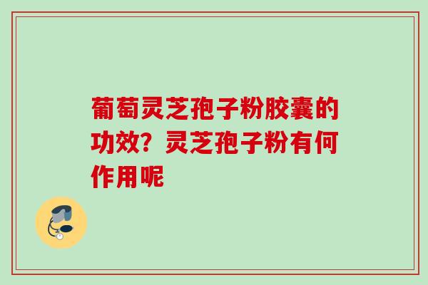 葡萄灵芝孢子粉胶囊的功效？灵芝孢子粉有何作用呢