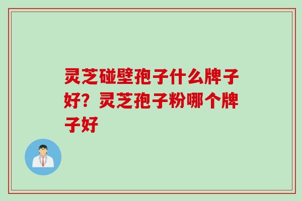 灵芝碰壁孢子什么牌子好？灵芝孢子粉哪个牌子好