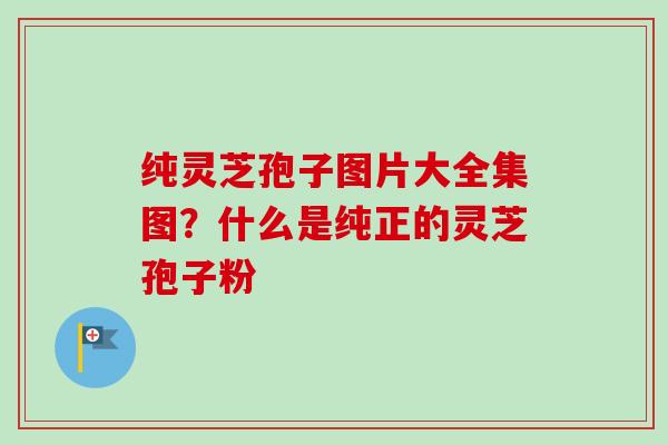 纯灵芝孢子图片大全集图？什么是纯正的灵芝孢子粉