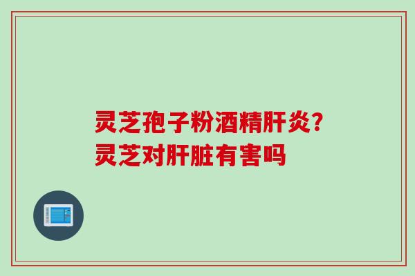 灵芝孢子粉酒精肝炎？灵芝对肝脏有害吗