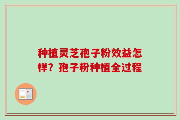 种植灵芝孢子粉效益怎样？孢子粉种植全过程