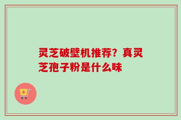 灵芝破壁机推荐？真灵芝孢子粉是什么味