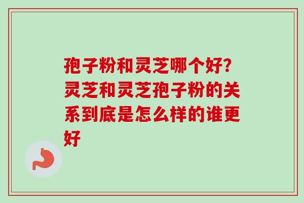 孢子粉和灵芝哪个好？灵芝和灵芝孢子粉的关系到底是怎么样的谁更好