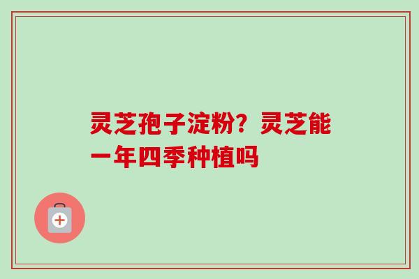 灵芝孢子淀粉？灵芝能一年四季种植吗