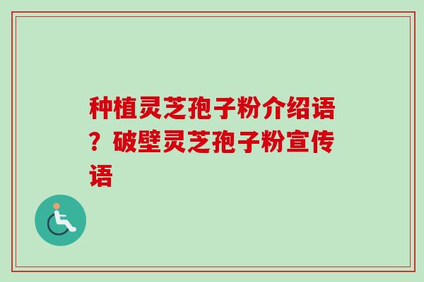 种植灵芝孢子粉介绍语？破壁灵芝孢子粉宣传语