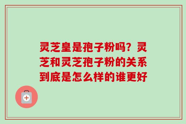 灵芝皇是孢子粉吗？灵芝和灵芝孢子粉的关系到底是怎么样的谁更好