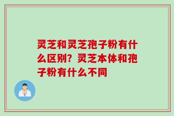 灵芝和灵芝孢子粉有什么区别？灵芝本体和孢子粉有什么不同