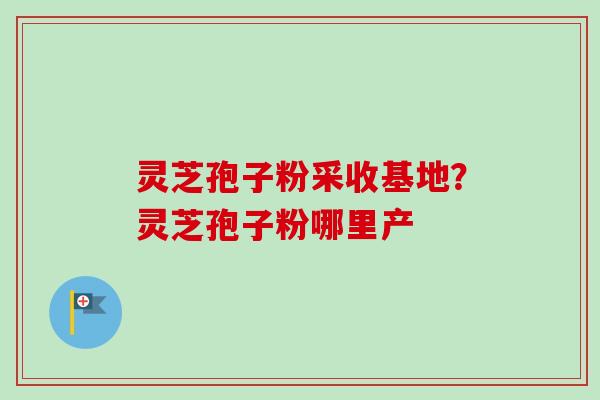 灵芝孢子粉采收基地？灵芝孢子粉哪里产