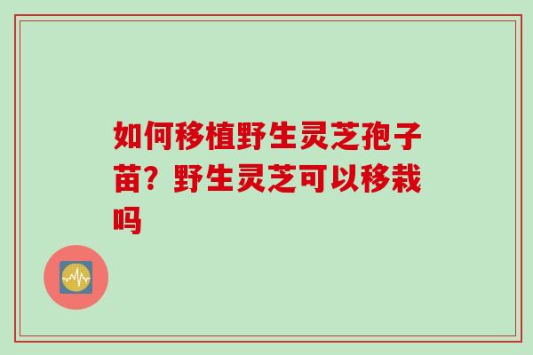 如何移植野生灵芝孢子苗？野生灵芝可以移栽吗
