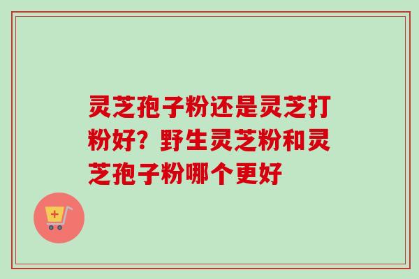 灵芝孢子粉还是灵芝打粉好？野生灵芝粉和灵芝孢子粉哪个更好