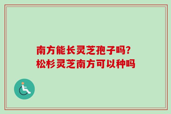 南方能长灵芝孢子吗？松杉灵芝南方可以种吗