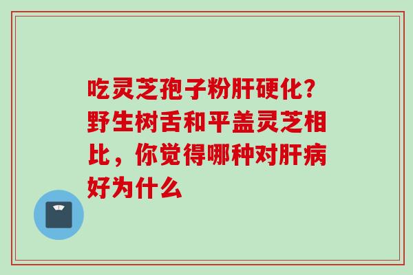 吃灵芝孢子粉?野生树舌和平盖灵芝相比,你觉得哪种对好为什么 吃灵芝孢子粉?野生树舌和平盖灵芝相比,你觉得哪种对好为什么
