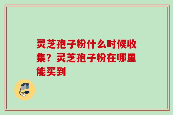 灵芝孢子粉什么时候收集？灵芝孢子粉在哪里能买到