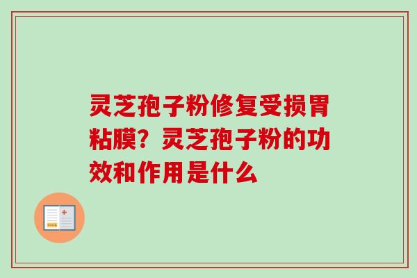 灵芝孢子粉修复受损胃粘膜？灵芝孢子粉的功效和作用是什么