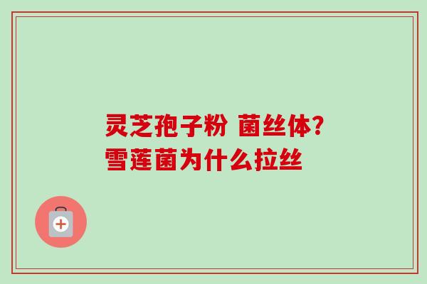 灵芝孢子粉 菌丝体？雪莲菌为什么拉丝