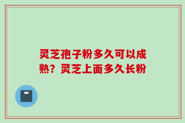 灵芝孢子粉多久可以成熟？灵芝上面多久长粉
