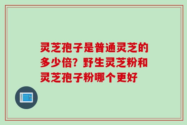灵芝孢子是普通灵芝的多少倍？野生灵芝粉和灵芝孢子粉哪个更好