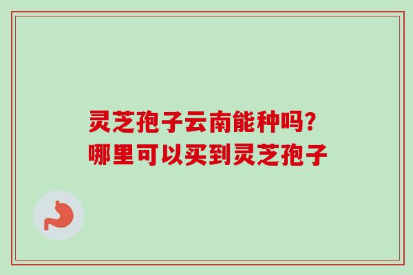 灵芝孢子云南能种吗？哪里可以买到灵芝孢子
