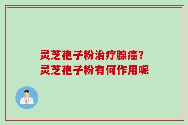 灵芝孢子粉腺?灵芝孢子粉有何作用呢 灵芝孢子粉腺?灵芝孢子粉有何作用呢