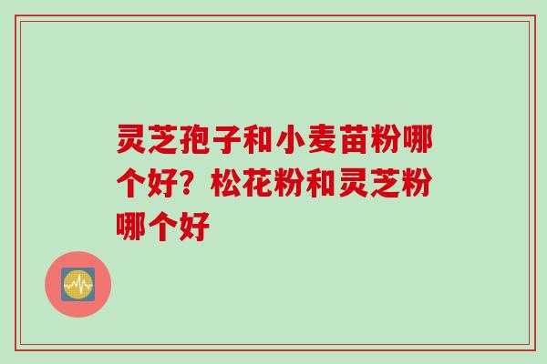 灵芝孢子和小麦苗粉哪个好？松花粉和灵芝粉哪个好
