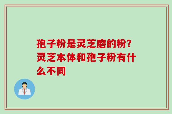 孢子粉是灵芝磨的粉？灵芝本体和孢子粉有什么不同