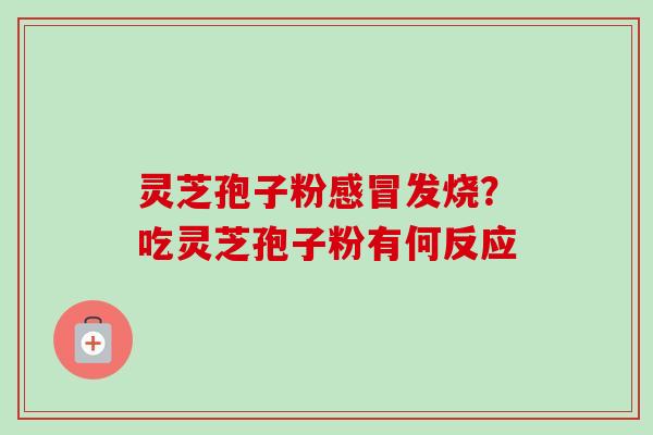 灵芝孢子粉感冒发烧？吃灵芝孢子粉有何反应