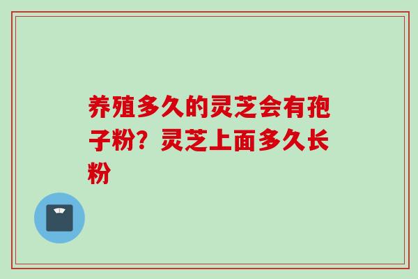 养殖多久的灵芝会有孢子粉？灵芝上面多久长粉