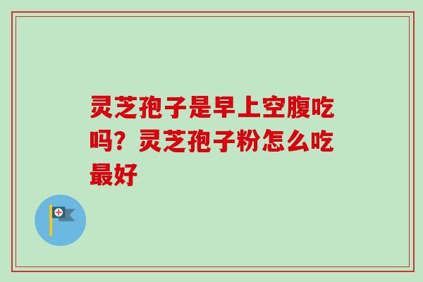 灵芝孢子是早上空腹吃吗？灵芝孢子粉怎么吃最好
