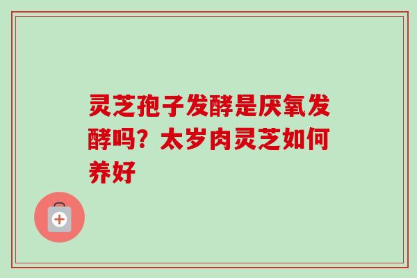 灵芝孢子发酵是厌氧发酵吗？太岁肉灵芝如何养好