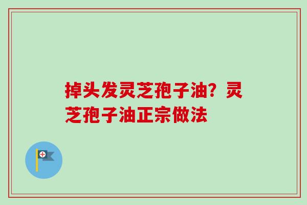 掉头发灵芝孢子油？灵芝孢子油正宗做法