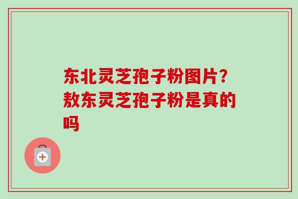 东北灵芝孢子粉图片？敖东灵芝孢子粉是真的吗