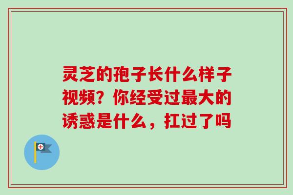 灵芝的孢子长什么样子视频?你经受过大的诱惑是什么,扛过了吗 灵芝的孢子长什么样子视频?你经受过大的诱惑是什么,扛过了吗