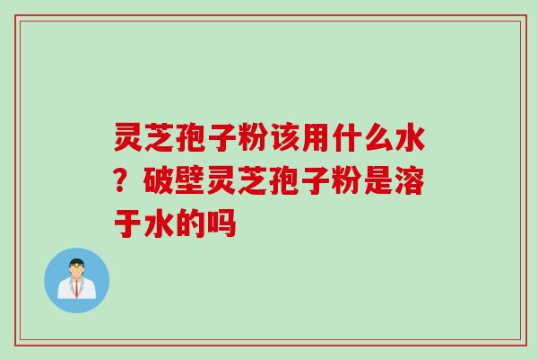 灵芝孢子粉该用什么水？破壁灵芝孢子粉是溶于水的吗
