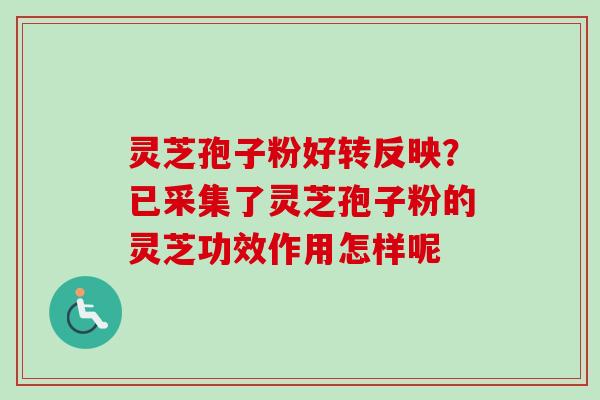 灵芝孢子粉好转反映？已采集了灵芝孢子粉的灵芝功效作用怎样呢