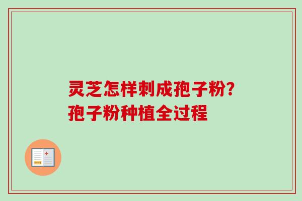 灵芝怎样刺成孢子粉？孢子粉种植全过程