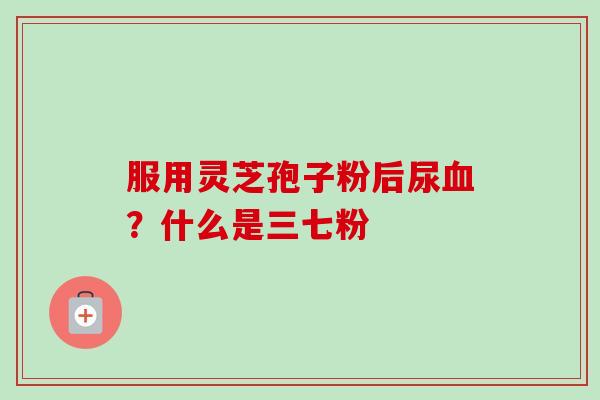 服用灵芝孢子粉后尿血？什么是三七粉