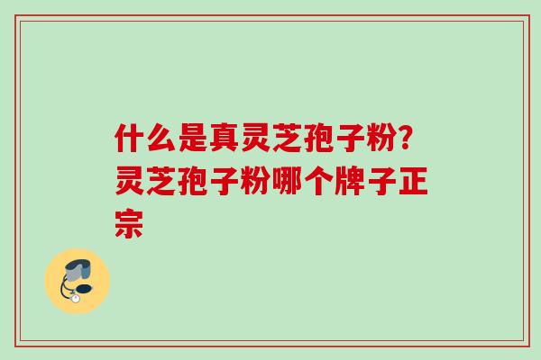 什么是真灵芝孢子粉？灵芝孢子粉哪个牌子正宗