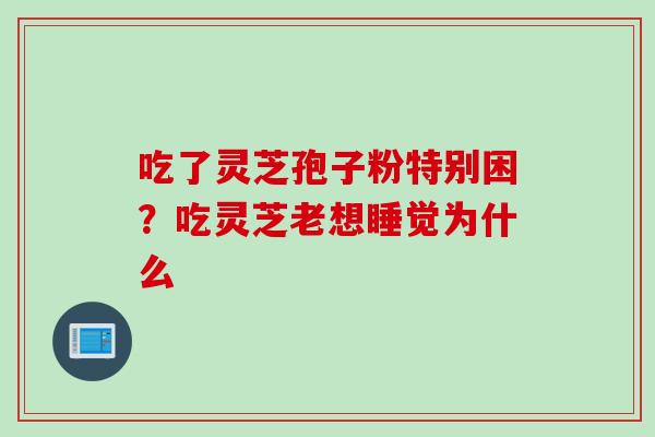 吃了灵芝孢子粉特别困？吃灵芝老想睡觉为什么