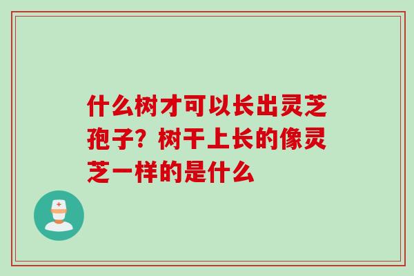 什么树才可以长出灵芝孢子？树干上长的像灵芝一样的是什么