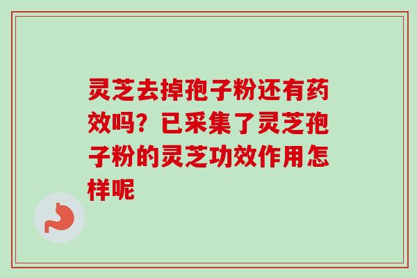 灵芝去掉孢子粉还有吗?已采集了灵芝孢子粉的灵芝功效作用怎样呢 灵芝去掉孢子粉还有吗?已采集了灵芝孢子粉的灵芝功效作用怎样呢