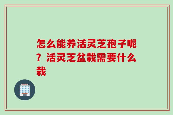 怎么能养活灵芝孢子呢？活灵芝盆栽需要什么栽