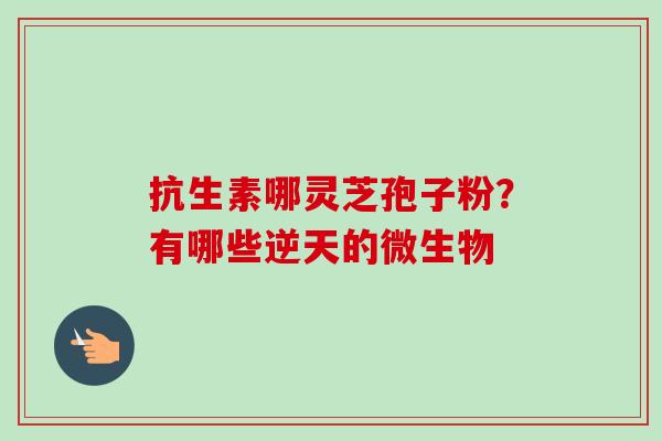 抗生素哪灵芝孢子粉？有哪些逆天的微生物
