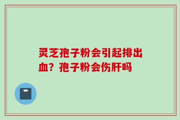 灵芝孢子粉会引起排出血？孢子粉会伤肝吗