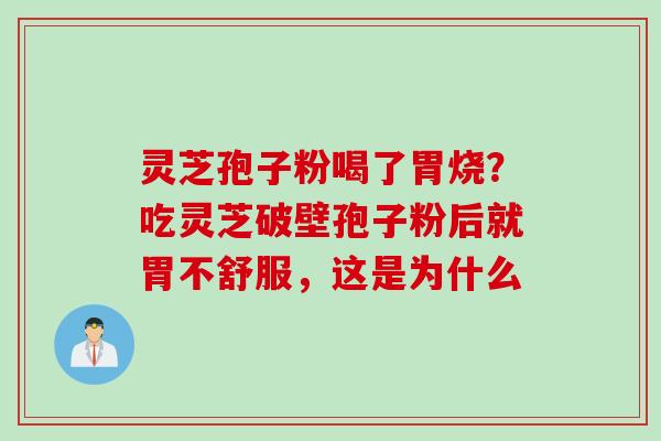 灵芝孢子粉喝了胃烧？吃灵芝破壁孢子粉后就胃不舒服，这是为什么