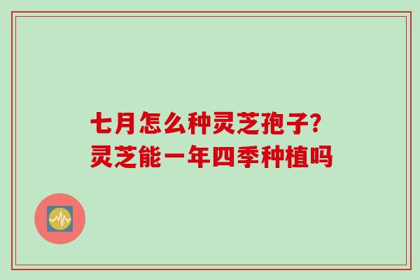 七月怎么种灵芝孢子？灵芝能一年四季种植吗