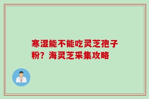 寒湿能不能吃灵芝孢子粉？海灵芝采集攻略